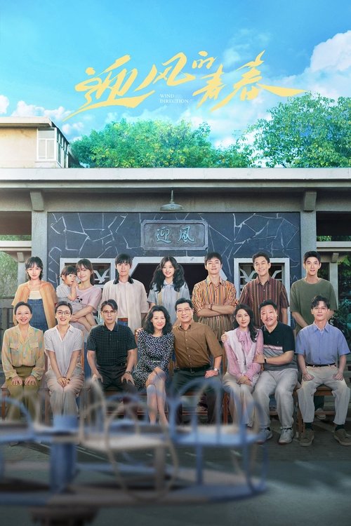 迎风的青春 封面