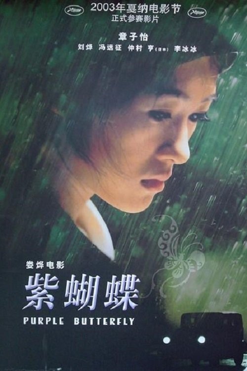 紫蝴蝶 封面