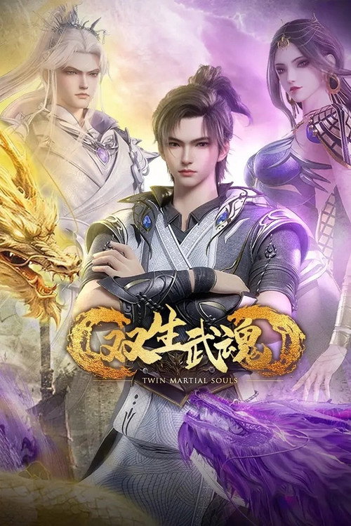 双生武魂 封面