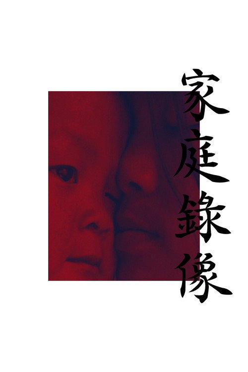 家庭录像 封面