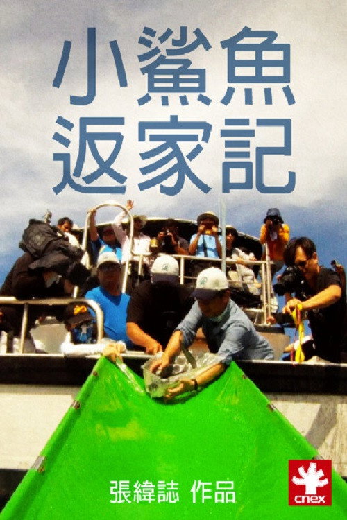 小鲨鱼返家记 封面