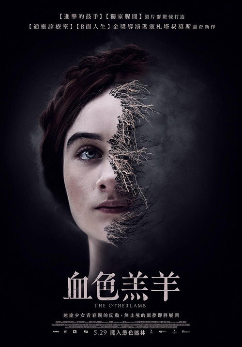 另一只羔羊 封面