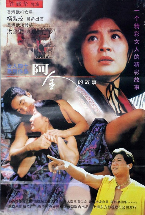 阿金的故事 封面