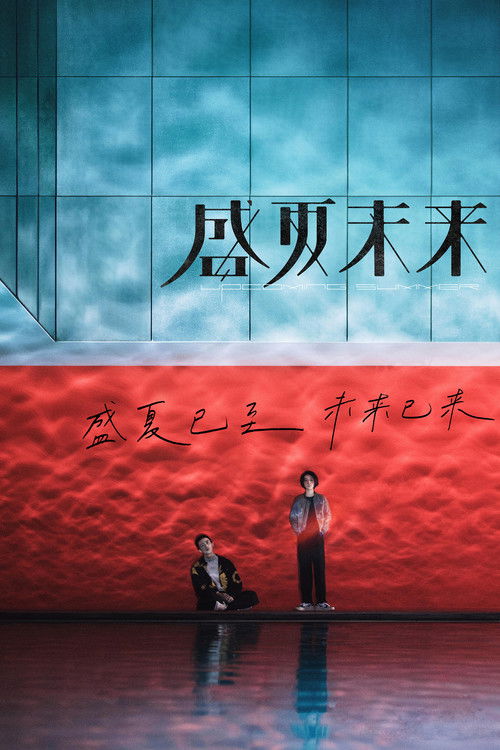 盛夏未来 封面