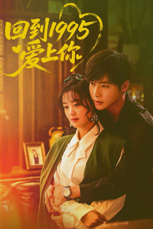 回到1995爱上你 封面