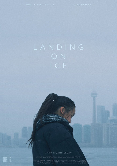 Landing On Ice 封面
