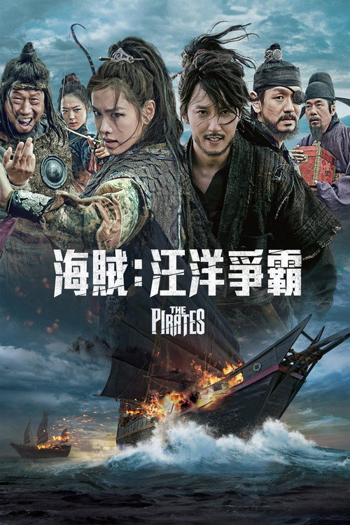 海盗 封面