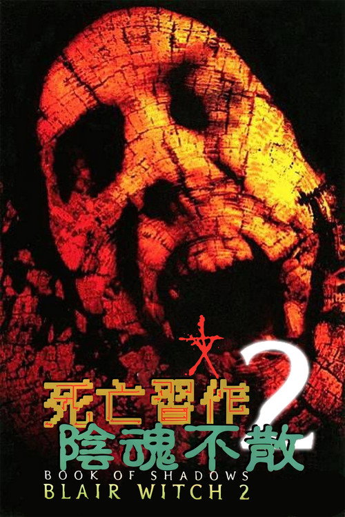 女巫布莱尔2:影子之书 封面