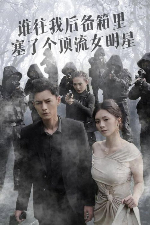 谁往我后备箱里塞了个顶流女明星 封面