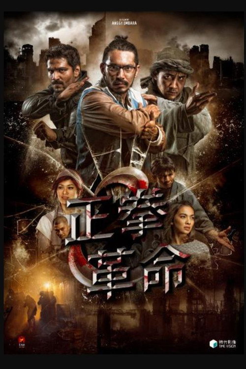正拳革命 封面