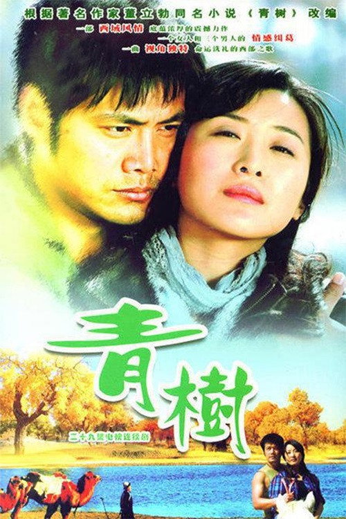 青树 封面