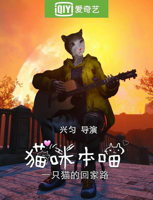 猫咪本喵 封面