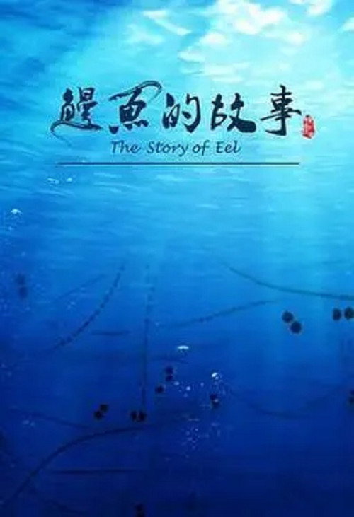 鳗鱼的故事 封面