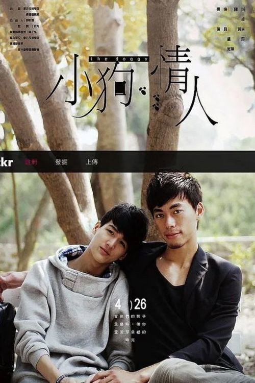 小狗情人 封面