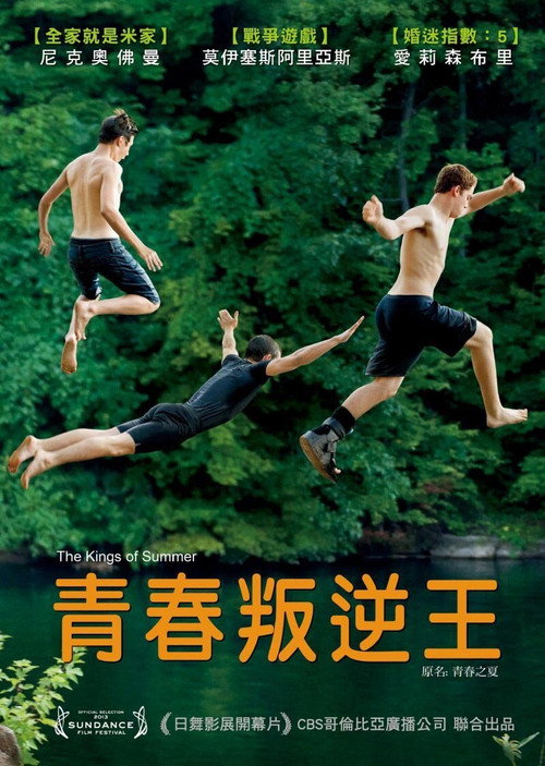 夏日之王 封面