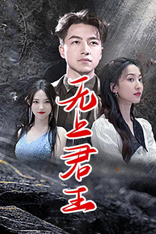 无上君王 封面