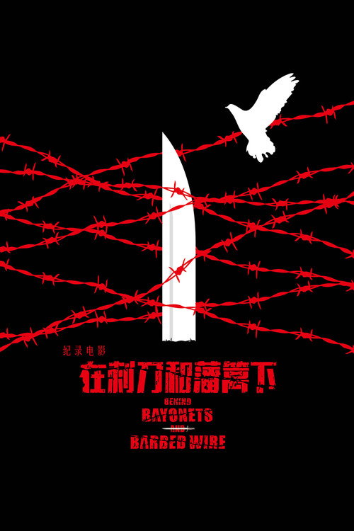 铁血残阳——在刺刀和藩篱下 封面