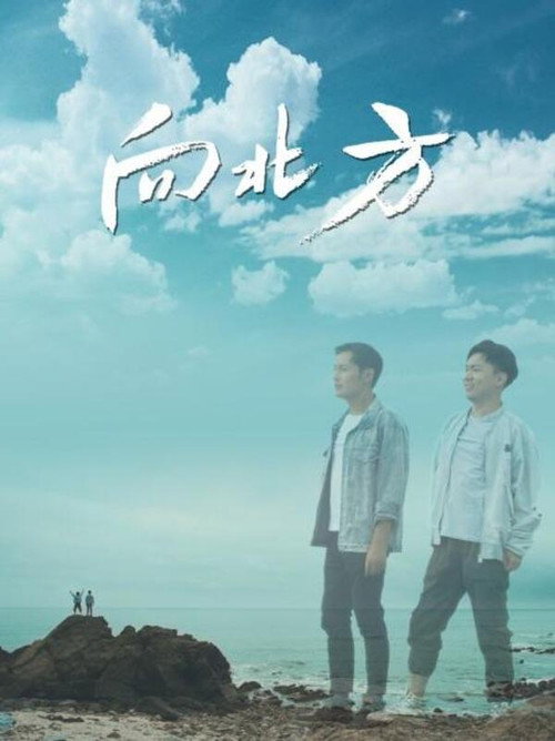 向北方 封面
