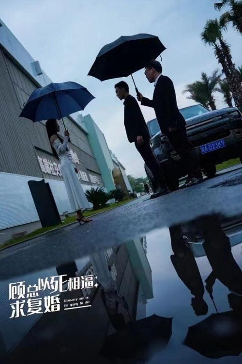顾总以死相逼求复婚 封面