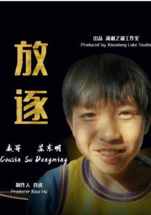 放逐 封面