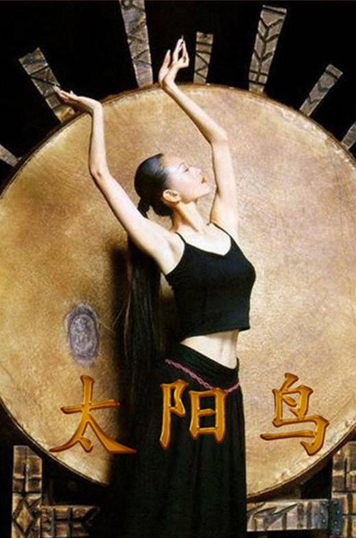 太阳鸟 封面