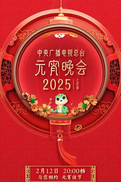 中央广播电视总台元宵晚会 封面