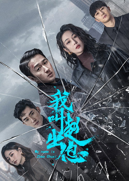 我叫赵出息 封面