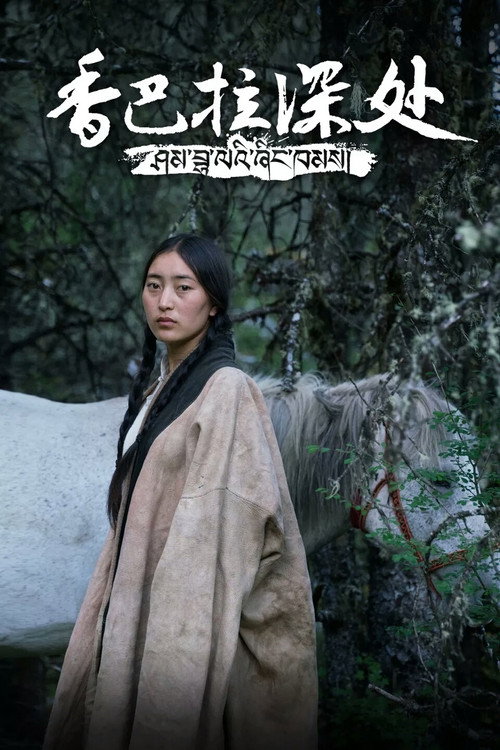 香巴拉深处 封面