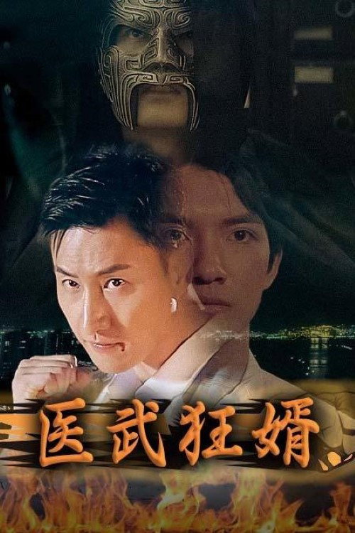 医武狂婿 封面