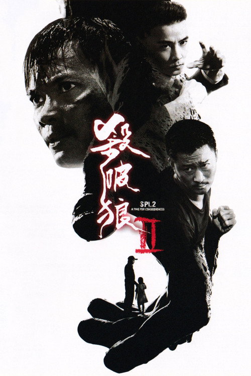 杀破狼2 封面
