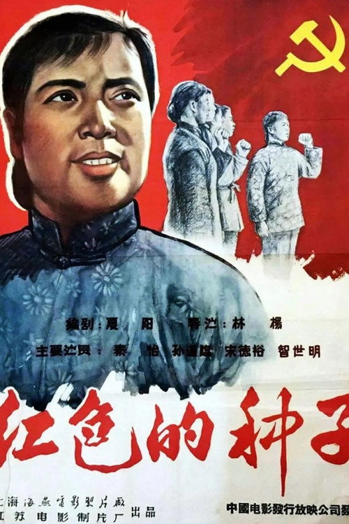 红色的种子 封面