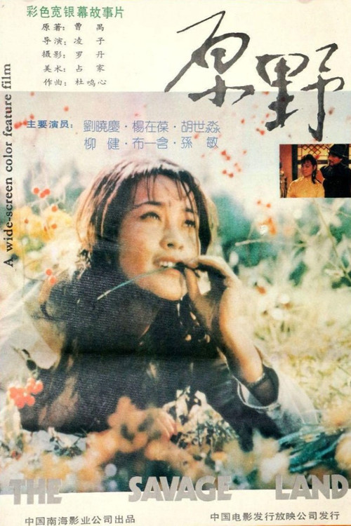 原野 封面