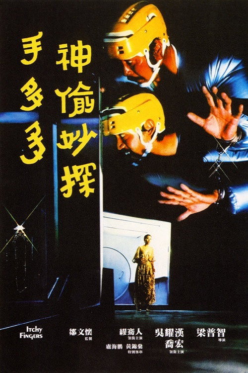 神偷妙探手多多 封面