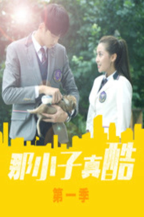 那小子真酷 封面