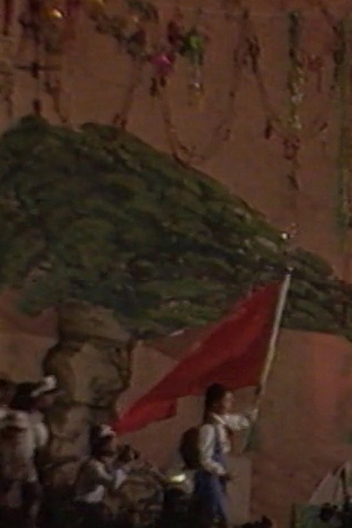 大树乡 封面