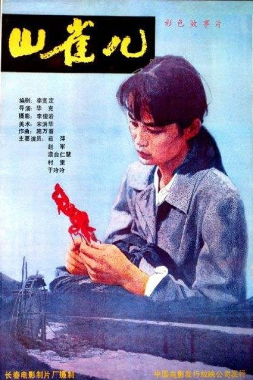 山雀儿 封面