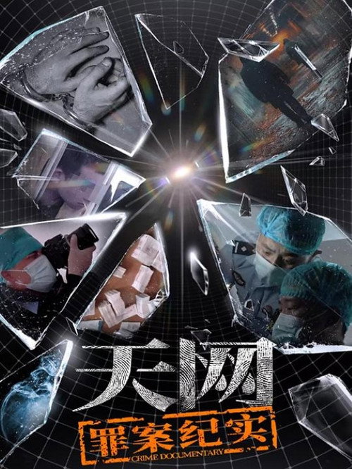 天网：罪案纪实 封面