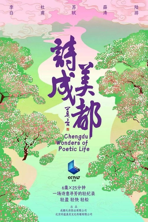 诗美成都 封面