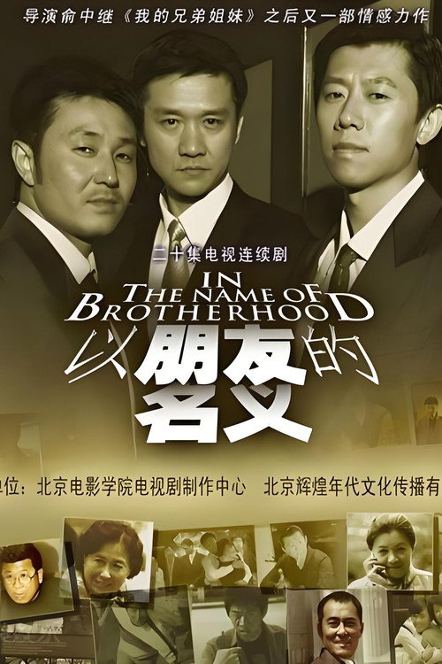 以朋友的名义 封面