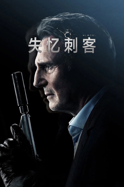 失忆刺客 封面