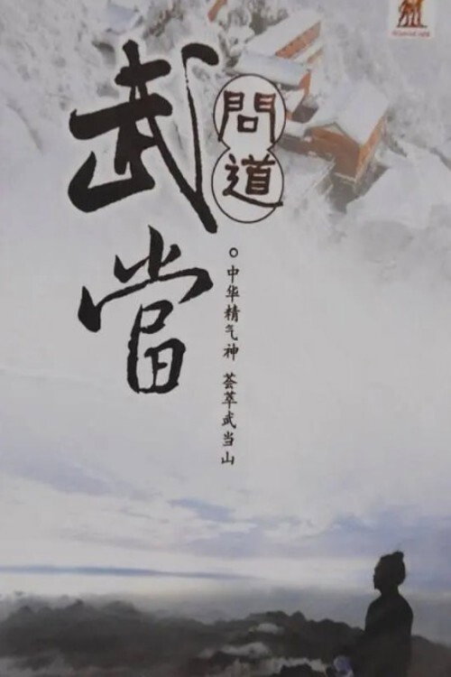问道武当 封面