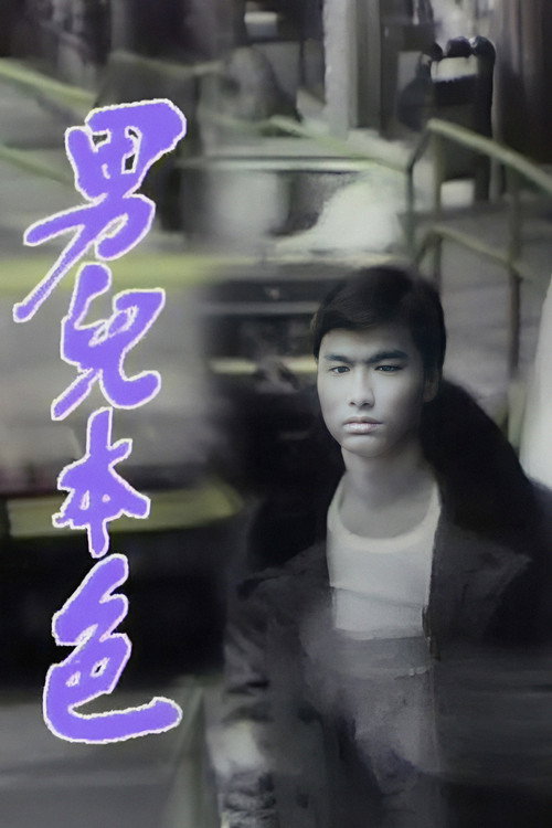 男儿本色 封面