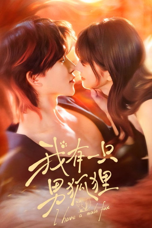 我有一只男狐狸 封面