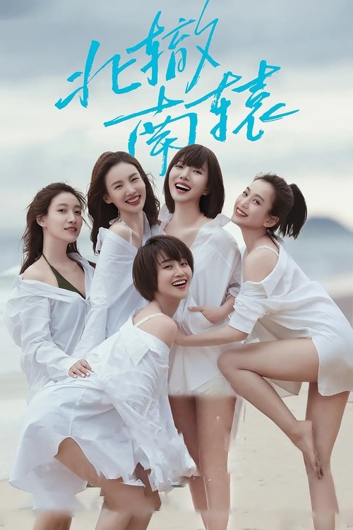 北辙南辕 封面