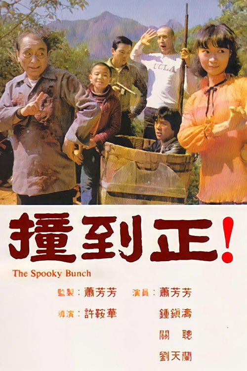 撞到正 封面