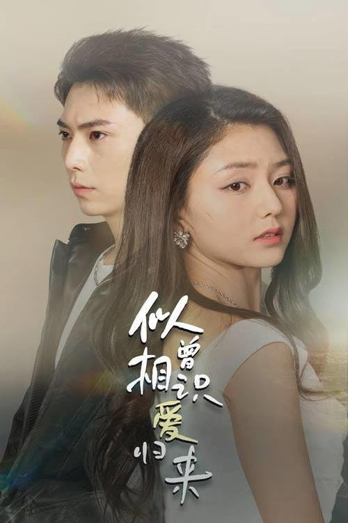 似曾相识爱归来 封面