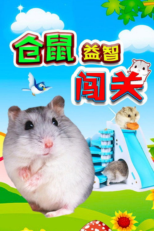 仓鼠益智闯关 封面