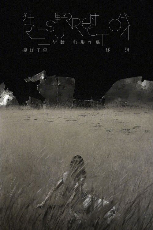 狂野时代 封面