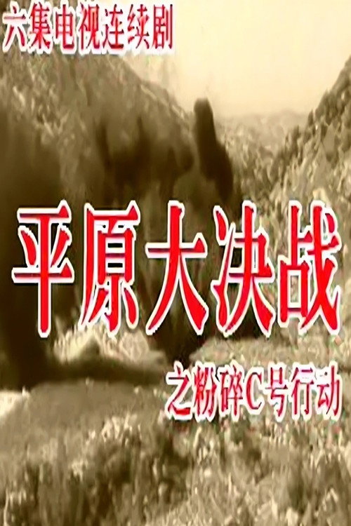 粉碎C号行动 封面