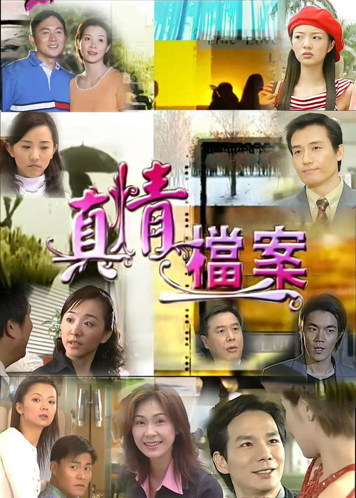真情档案 封面